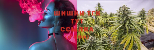 индика Абинск