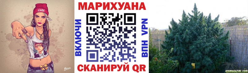 Каннабис OG Kush  Княгинино 